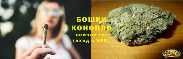 шишки Богородицк