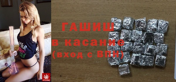 шишки Богородицк