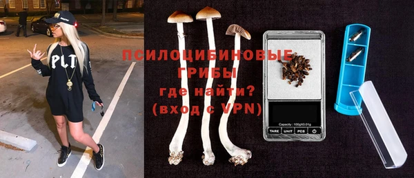 шишки Богородицк