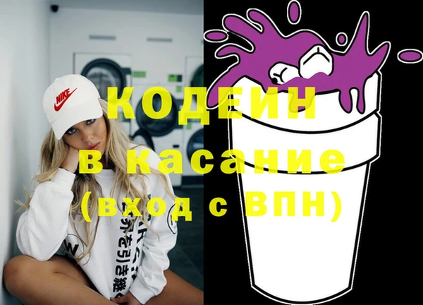 шишки Богородицк